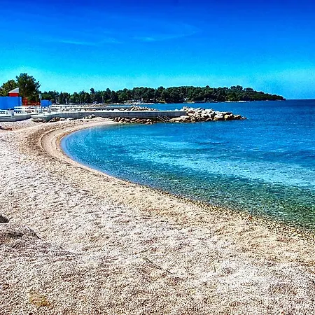 2081 Pula
